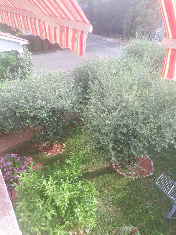 Donna * Porec