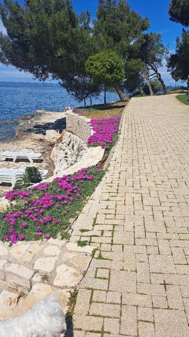 Donna Apartment Porec